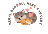https://regalragdollmelody.com/